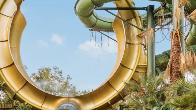 Water slide loop with riders in a tube, surrounded by tropical plants.