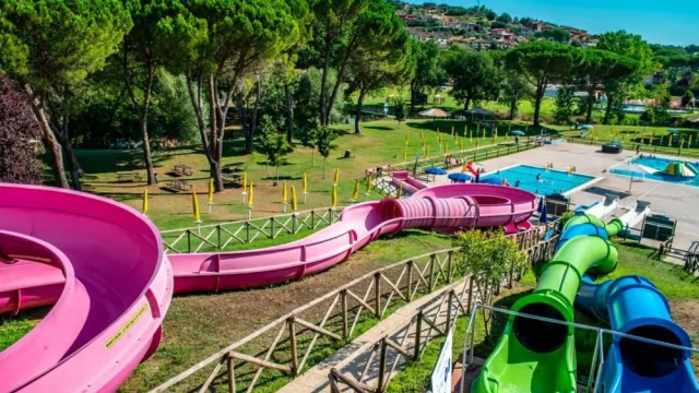 Colorful water slides in a park with trees and bright blue sky.