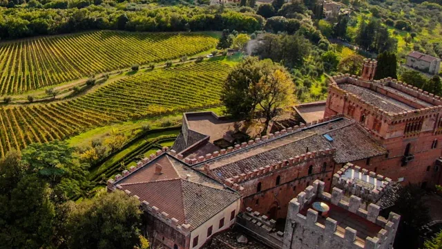 Aerial view of a medieval castle with lush green fields surrounding it.
