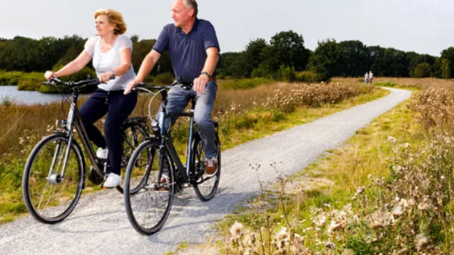 Cyclists on a rural path by a lake, with blue sky and wildflowers.