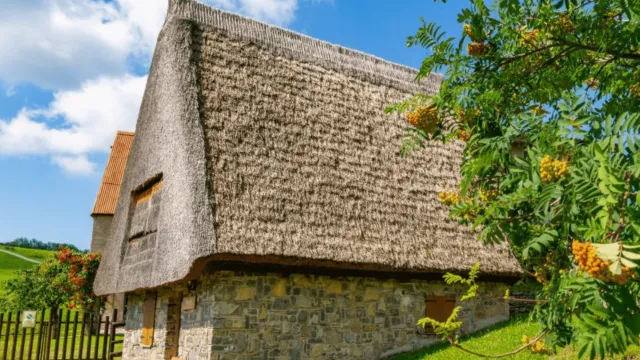 Thatched-roof cottage on green hill, blue sky, and surrounding trees.