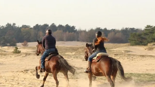 Two people riding horses on a sandy path through open fields.