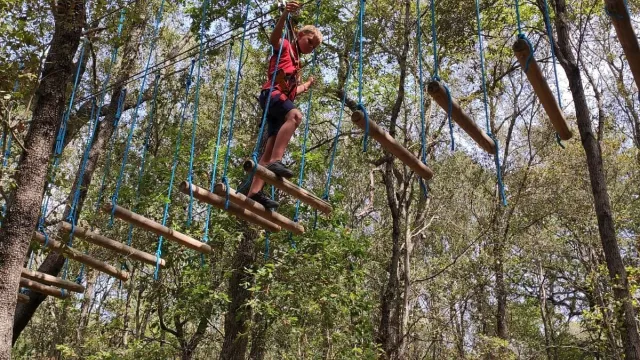 Person balancing on a treetop ropes course in a forest.