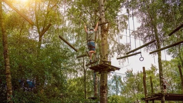 Outdoor ropes course in a forest under bright sunlight, person balancing on a platform.
