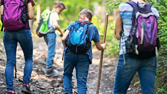 Group hiking on a forest trail, carrying backpacks and walking sticks.