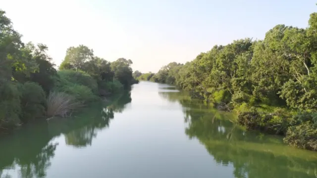 Kayakers on a calm river surrounded by lush greenery.