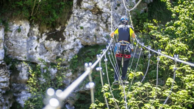 Person crossing rope bridge over a lush, green gorge.