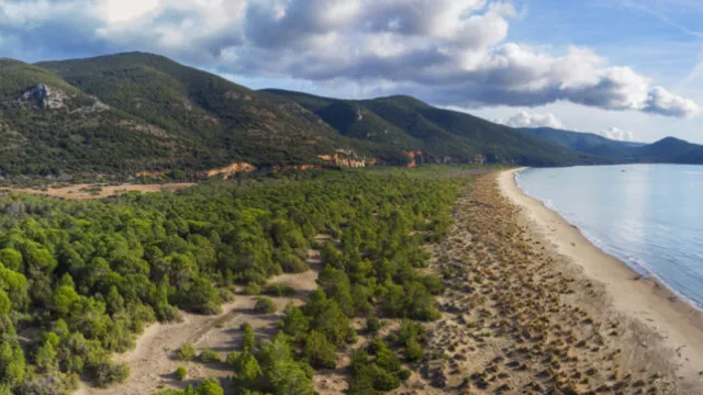 Coastal landscape with green forest, mountains, and cloudy sky.