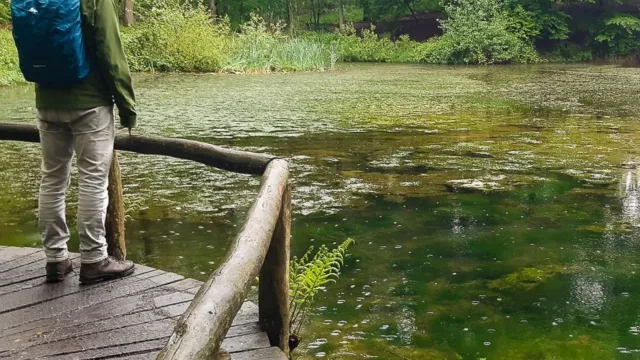 A person with a blue backpack stands on a wooden deck by a forest pond.