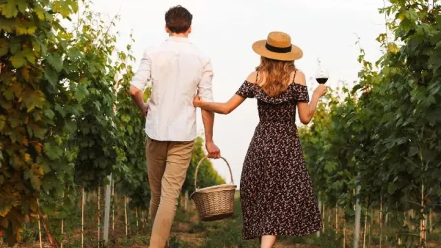Couple walking in vineyard, woman holding a glass of wine.