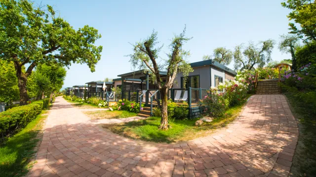 Pathway forks in lush park with small modern houses under a clear blue sky.