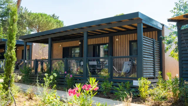 Cozy wooden cabin with a shaded porch and vibrant plants in the foreground.