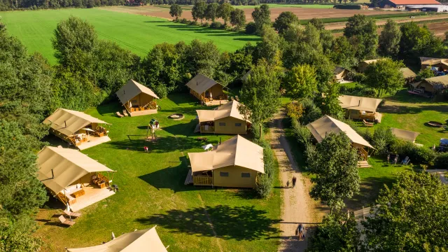 Cluster of tents in a lush, green campsite, surrounded by trees and fields.