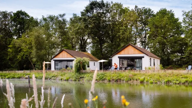 Two modern white houses by a pond, surrounded by trees and greenery.