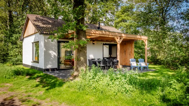 Cozy white cottage with a wooden porch, surrounded by lush greenery.