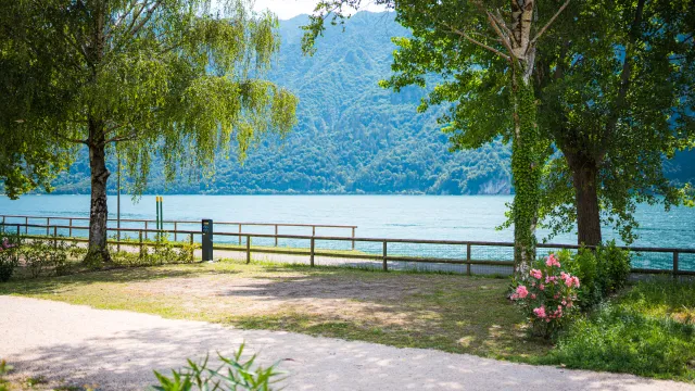 Pathway with trees, lake, and mountains in the background.