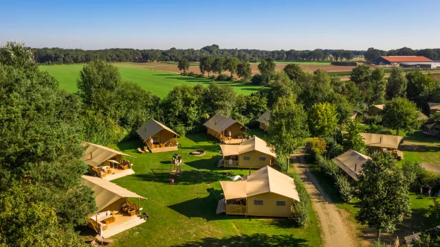Aerial view of tents and cabins in a green, wooded campground.