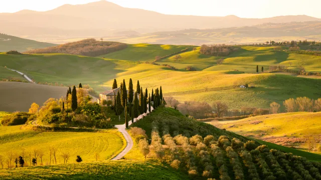 Sunlit Tuscan hills with winding road and cypress trees.