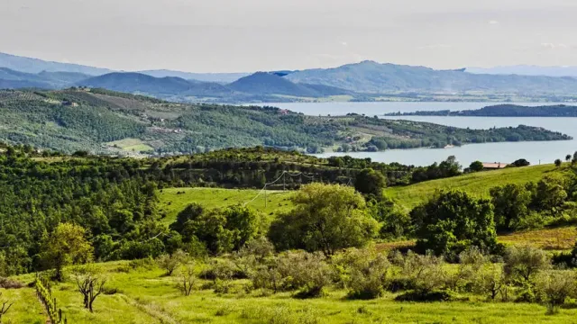 Rolling green hills with a distant lake and mountain view.