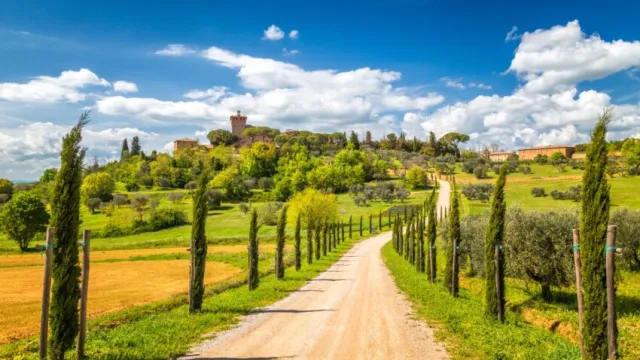 Tuscan countryside with a dirt road, cypress trees, and a scenic hilltop.