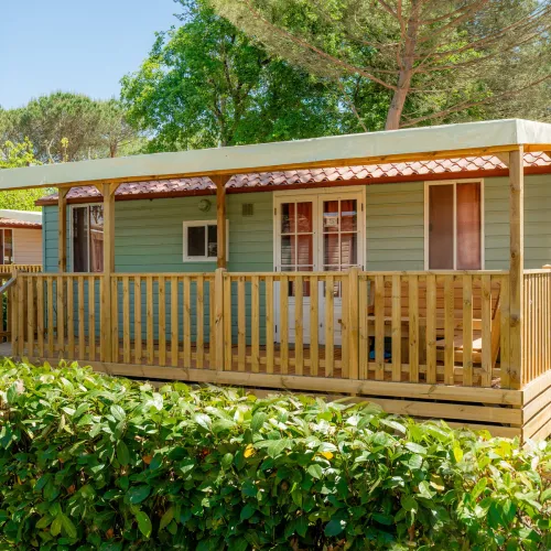 Cozy green mobile home with wooden porch, surrounded by lush greenery.