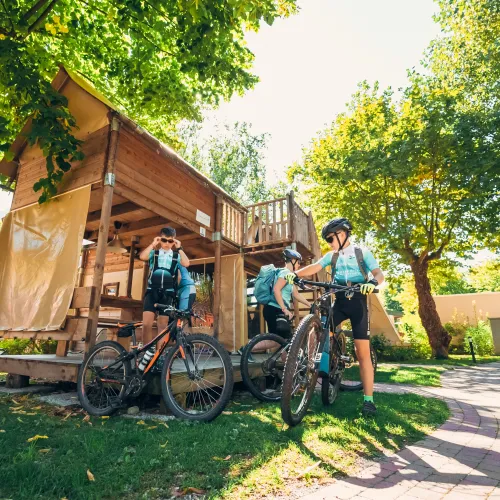 Cyclists resting by a wooden cabin, surrounded by trees on a sunny day.