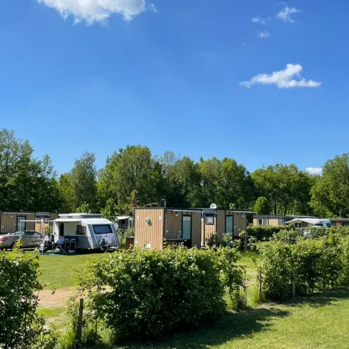 Grass field with camper vans, wooden cabins, and trees under a blue sky.