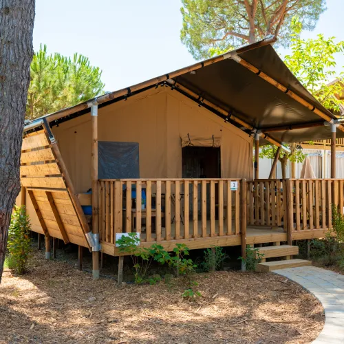 Wooden cabin with a canvas roof, surrounded by trees on a sunny day.