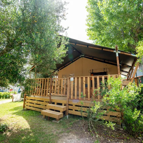 safaritent surrounded by lush green trees.