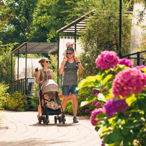 Family walking with stroller on garden path, pink flowers in foreground.