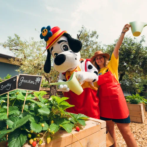 Spotty and woman happily watering plants in a garden.