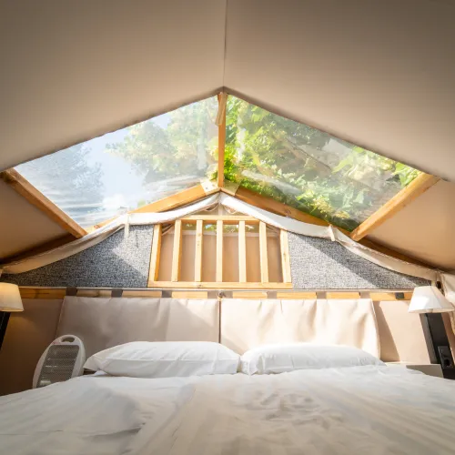Bed in a cozy room with a skylight showing green foliage above.