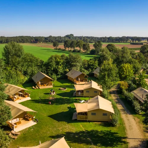 Aerial view of tents and cabins in a green, wooded campground.