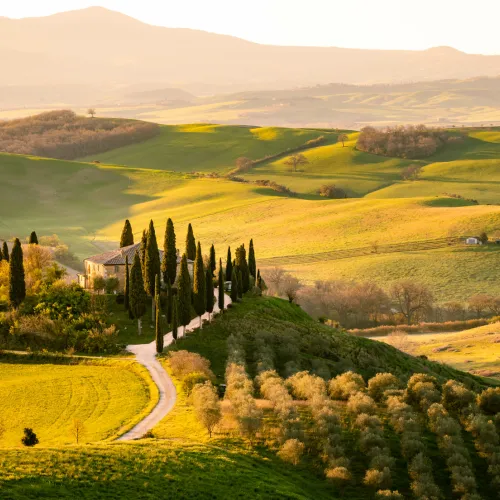Sunlit Tuscan hills with winding road and cypress trees.