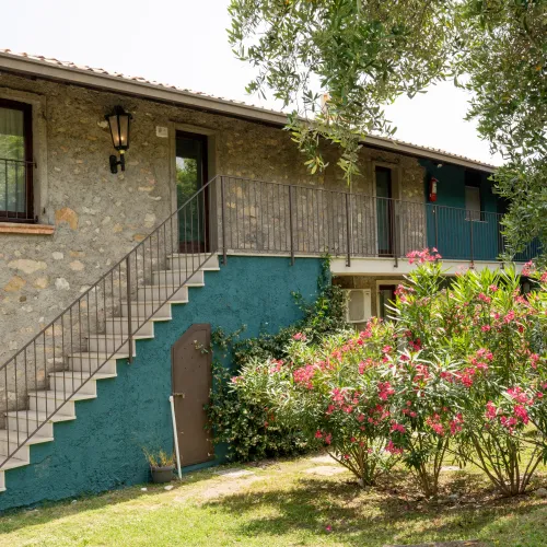 Stone house with stairs, green wall, and flowering bushes in the yard.
