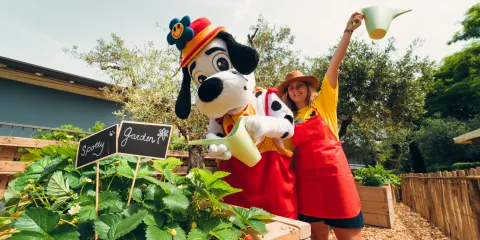 Spotty and woman happily watering plants in a garden.