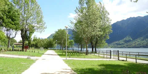 Pathway lined with trees beside a lake and mountains under a clear sky.