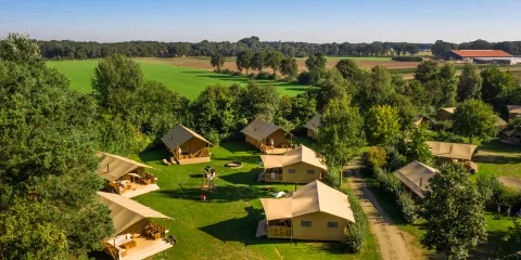 Aerial view of tents and cabins in a green, wooded campground.