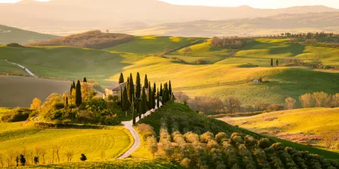 Sunlit Tuscan hills with winding road and cypress trees.