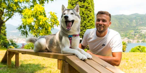 Man smiling with a husky on a wooden bench in a sunny park.