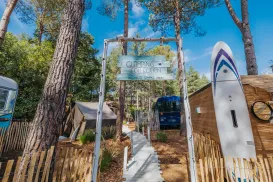 Camping site with tall trees, tents, blue bus, and surfboard under a clear sky.