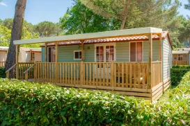 Cozy green mobile home with wooden porch, surrounded by lush greenery.