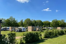 Grass field with camper vans, wooden cabins, and trees under a blue sky.