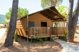 Wooden cabin with a canvas roof, surrounded by trees on a sunny day.
