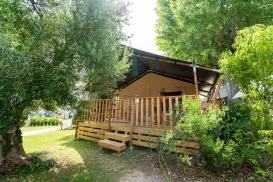 safaritent surrounded by lush green trees.