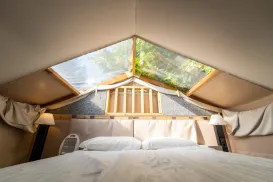 Bed in a cozy room with a skylight showing green foliage above.