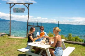 Three people clinking glasses at a picnic table by the sea under a clear blue sky.