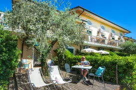 Sunny patio with chairs, table, and olive tree near a building with balconies.