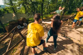People practicing archery in a sunny forest setting.