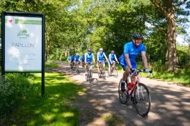 Cyclists in blue uniforms riding through a sunlit wooded path.